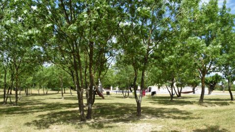 Mas de charme pour 15 personnes dans un cadre verdoyant en Ardèche