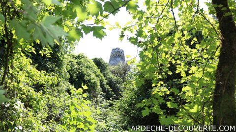 Randonnée au Bois de Païolive